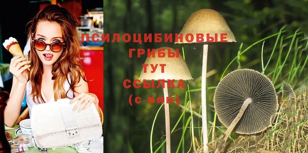 тгк Абдулино