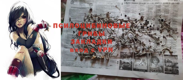 тгк Абдулино