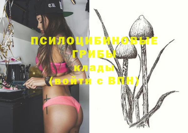 тгк Абдулино